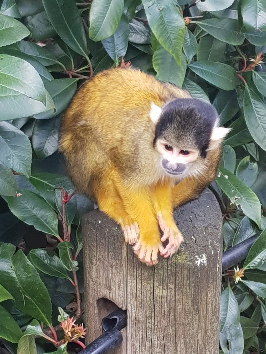 lauren jade tweet media