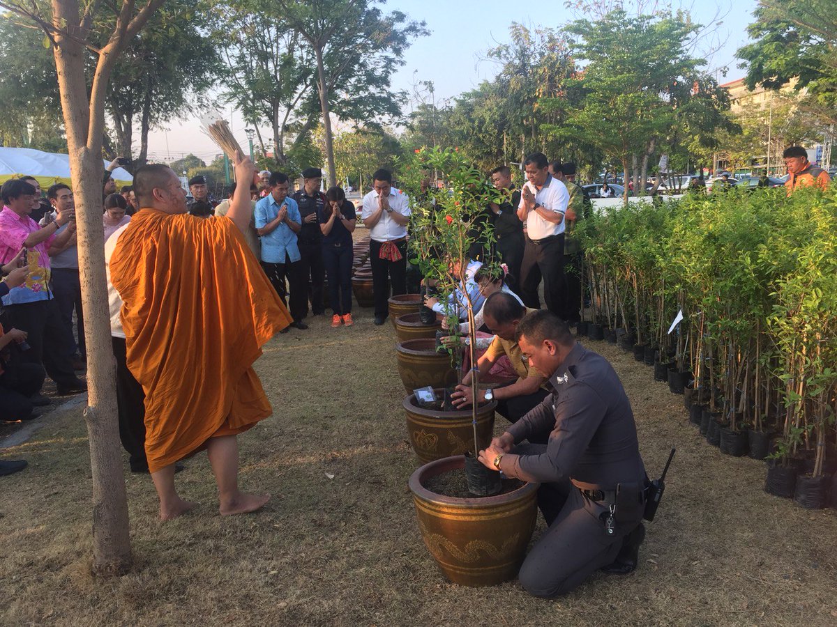 MuangUbonPolice's tweet photo. วันที่14ก.พ.61เวลา17.00น. พ.ต.ต.พอทัย ฦาชา สวป.สภ.เมืองอุบลราชธานี,ร.ต.อ.ภาคิน ภูริธาดาวัฒน,ร.ต.อ.สมบัติ สมจิตร,ร.ต.ท.สุนันท์ ปกป้อง รอง สวป.ฯ พร้อมชุดสายตรวจร่วมกิจกรรมโครงการปลูกต้นทับทิมเพื่อความเป็นศิริมงคล ปี2561 ณ ศาลหลักเมือง
@MuangUbonPolice https://t.co/lkDsQAtsrI