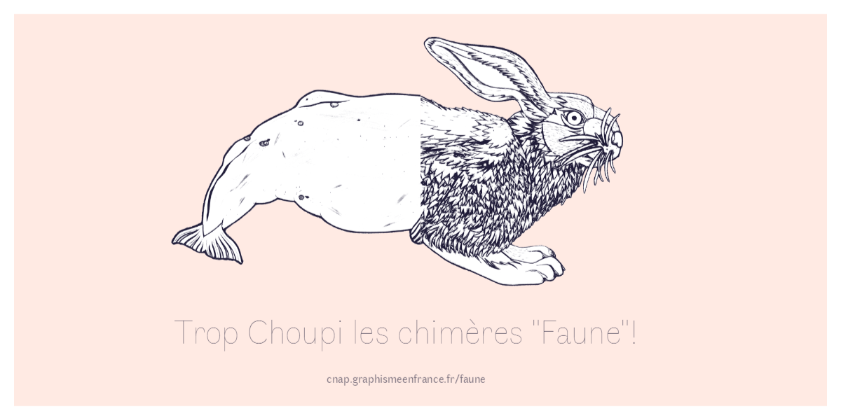 ChateauOiron's tweet photo. On vous conseille la découverte de "Faune, un caractère typographique" créé par @alicesavoie  avec les illustrations de Marine Rivoal pour une commande du @CNAPfr . Amusez-vous à créer vos chimères!! #TypoFaune https://t.co/l1Z2oGThEs https://t.co/iZWmRvntYd