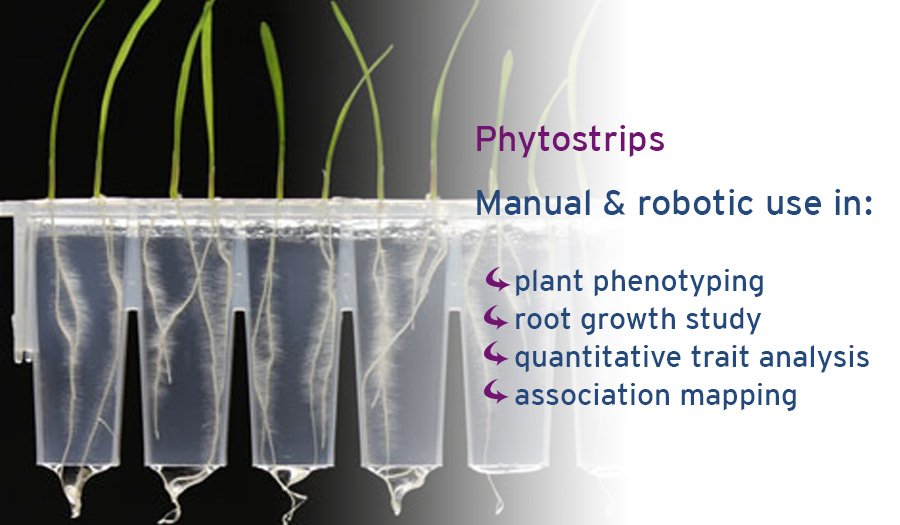 4titude_ltd's tweet photo. Developed for #PlantPhenotyping together with @LancasterUni, the #Phytostrip is suitable for both manual and robotic use. They can also be used for #quantitativetrait analysis and #associationmapping. Request your free samples today https://t.co/nFI73iYiEl! https://t.co/7pQ8tiOHst