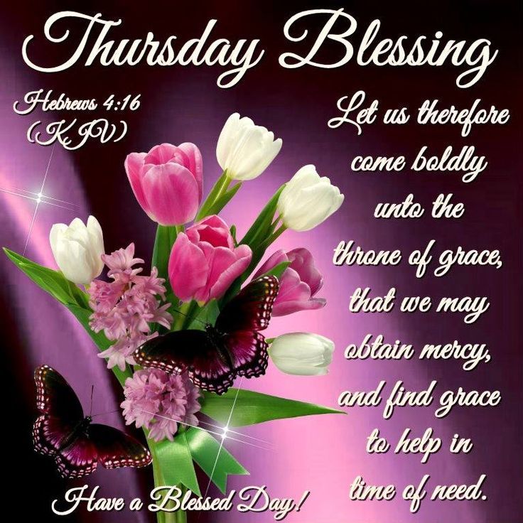 Felicia3151941's tweet photo. Good Morning, Royal Family. Thank God for another day of life. Please pray for all Bereaved Families everywhere. Have a terrific Thursday.🙏🏽💗🙏🏽 https://t.co/Va5XPFvOXo