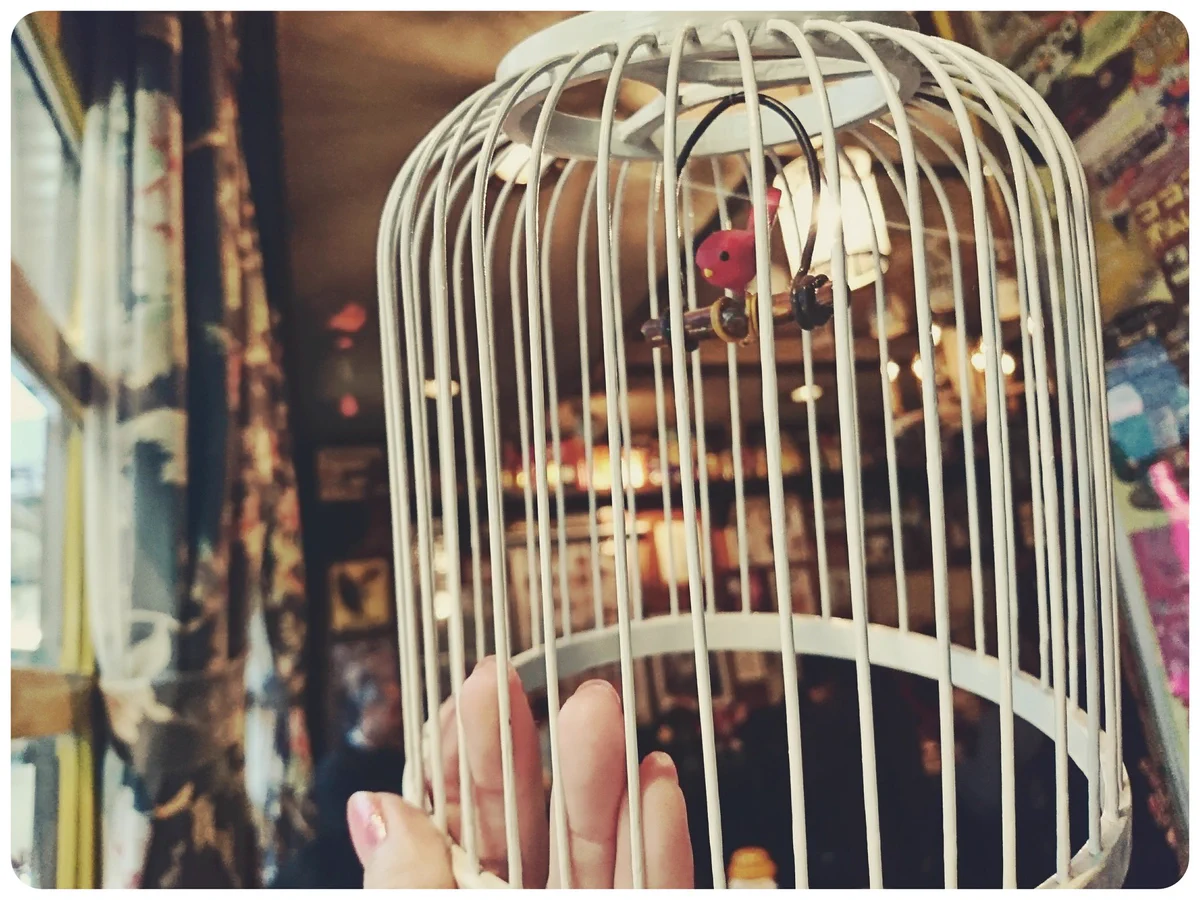 大阪にある珍しいココア専門店の「赤い鳥」が今月閉店？悲しみの声が広がる