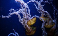 killz4sher's tweet image. Tiny Types in TypeScript dlvr.it/QGRpYW #web_dev #typescript #data_types #tiny_types_pattern #programming
