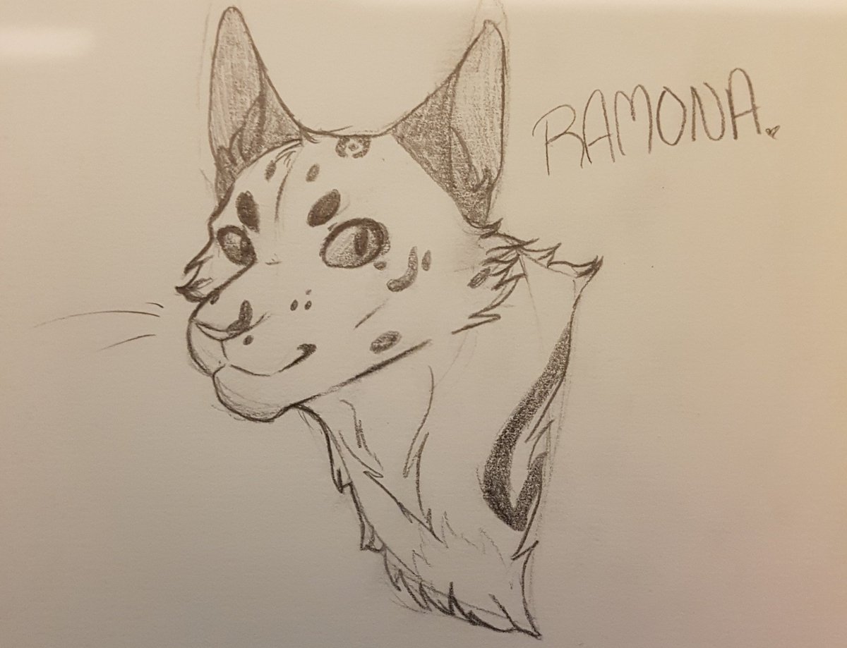 luxuart_'s tweet image. A traditional sketch of ramona... I expect you'll see a lot of this girl and her friends!
