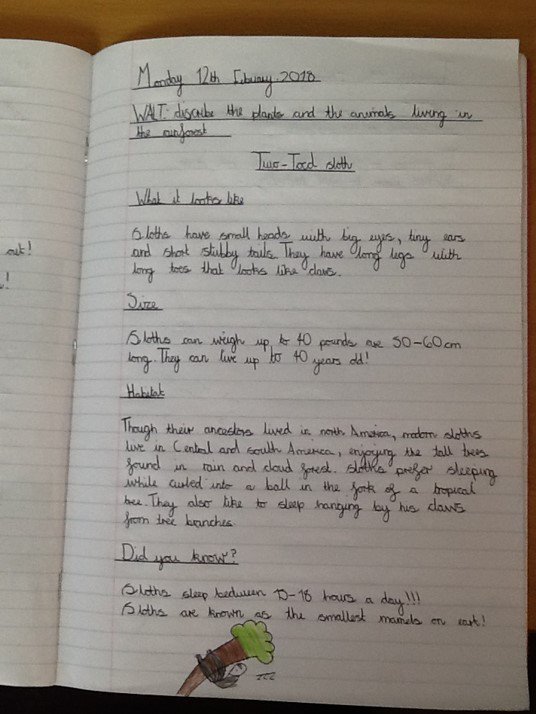 MrFarrowMPA's tweet photo. Halle-Mae in 3B produced this fact file completely independently to fulfil the task "Research a rainforest animal" - fantastic presentation! https://t.co/kobSiwLZwm