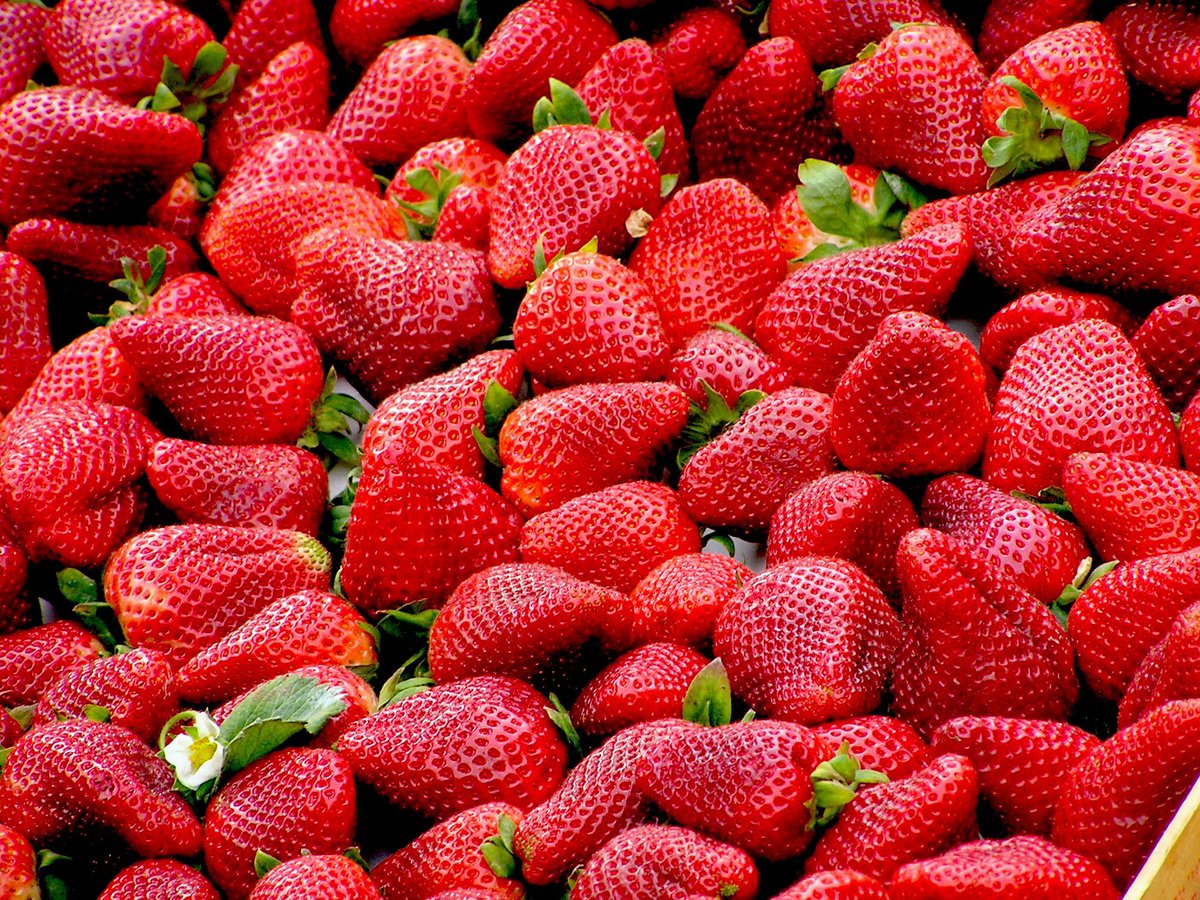 Here it is, the strawberry crop outlook for 2018! Check out the market shifts, reasons for a lower yield and how it's going to be in 2018: dirafrost.com/en/news-2/deta…