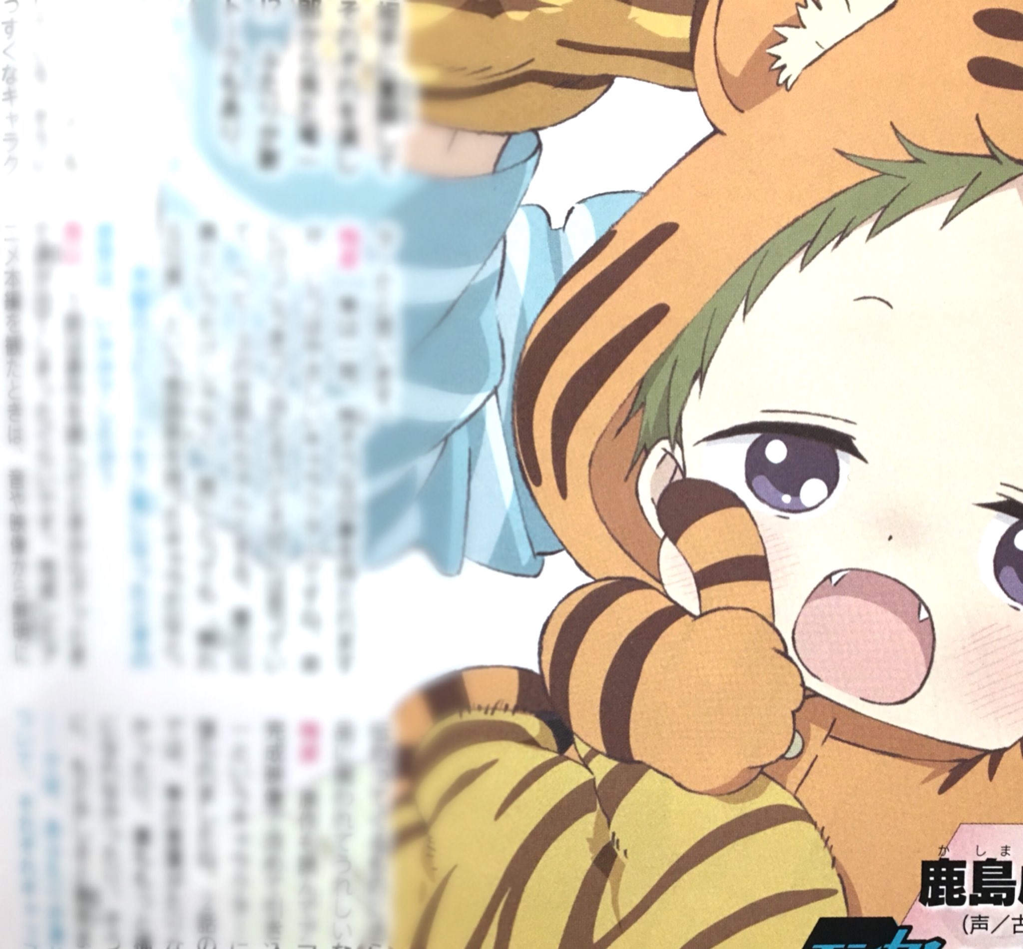 アニメガ学園ベビーシッターズ「にちゃ、だいすき!虎太郎フェア」のグッズセット アニメガ学園ベビーシッターズ にちゃ、だいすき 虎太郎フェア