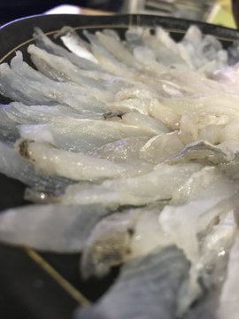 見た目が凄い 八角 とは 北海道の美味しい魚の正体と食べ方をご紹介 暮らし の