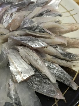 見た目が凄い 八角 とは 北海道の美味しい魚の正体と食べ方をご紹介 暮らし の