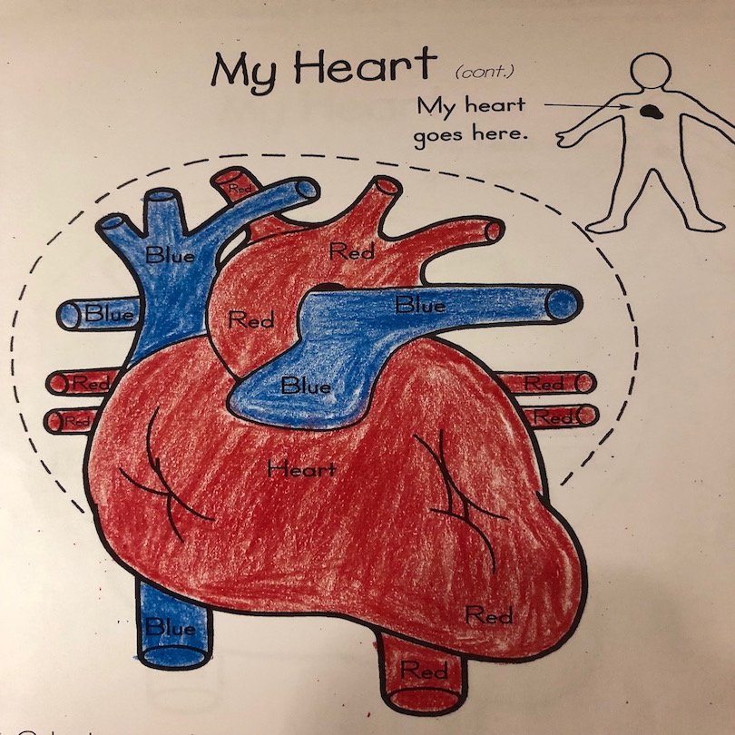 MonmouthMuseum's tweet image. Today is MMKIDS Math Monsters at 1:00pm! We will be talking about the Heart!
#MonmouthMuseum #MMKIDS #MathMonsters #Heart #Math #FamilyFun