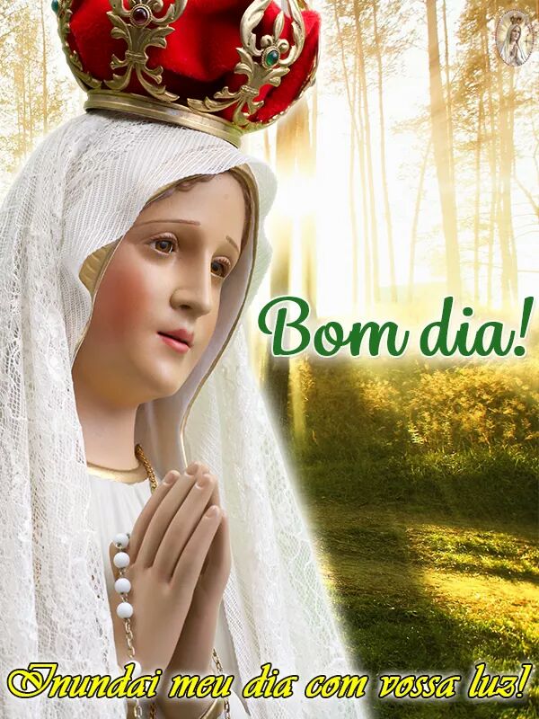 Valesca♡soutimbeta (@falconivalesca) on Twitter photo 