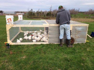 MarketFreshNS's tweet photo. What does grass fed, pasture raised, organic mean? Want to know more about how your meat & eggs are raised? Farmer Susan Hamilton from @Wildpasturefarm breaks down some of these terms in her latest blog post. https://t.co/SflBYPYiu6 #marketfreshns #farmfresheggs #farmfreshmeat https://t.co/AcffaTqOYC