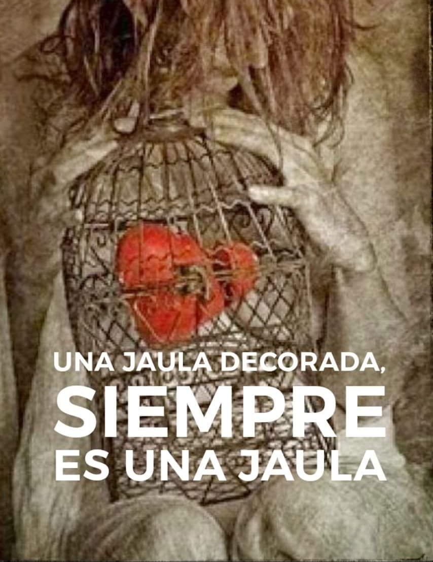 Masjulio67's tweet photo. #tudecides https://t.co/eBPAZ7PbAD