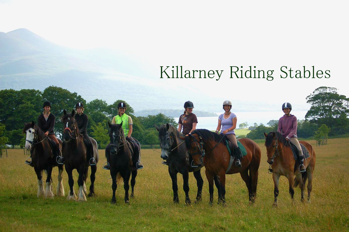 killarneystable's tweet image. Exciting news🎉🎉 We have a brand new website! Visit us at killarneyridingstables.com  to see our different trail ride options, new photos and more  😀#killarneyridingstables