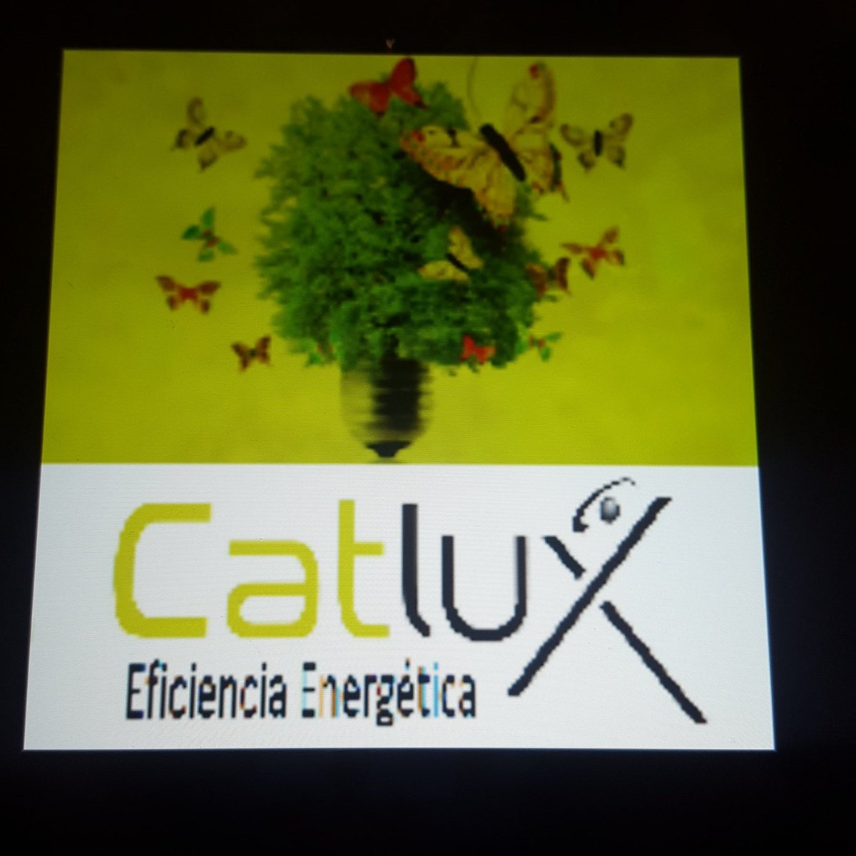 Catlux