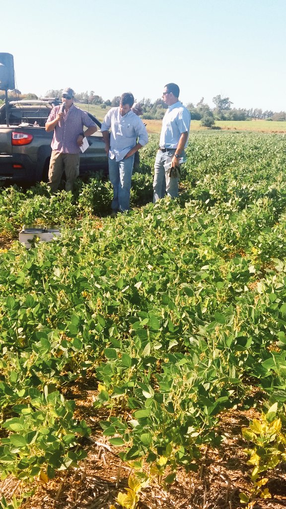 LicosJoaco's tweet photo. ASP presentando la herramienta de analisis foliar #Nutriscription. Ya no hay dudas de como estan nutricionalmente tus cultivos... https://t.co/maNxkPuRbj