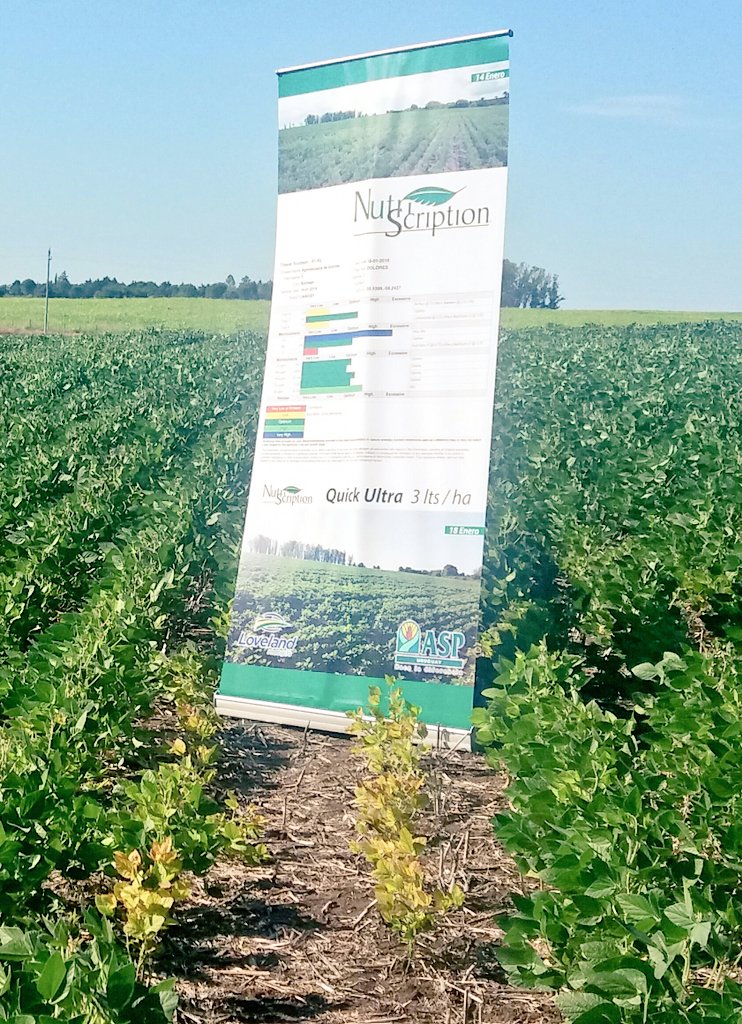 LicosJoaco's tweet photo. ASP presentando la herramienta de analisis foliar #Nutriscription. Ya no hay dudas de como estan nutricionalmente tus cultivos... https://t.co/maNxkPuRbj