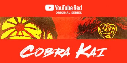 Cobra Kai  The Banner