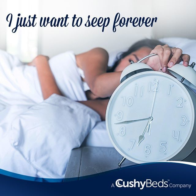cushybeds's tweet photo. I just want to seep forever.

#cushybeds #sleep #sleepytime #healthcare #refreshed #bedtime #freshbedsheets #healthlife #fit #mattresses #healthylifestyle https://t.co/E9H699ezsL https://t.co/rturvQCpi1