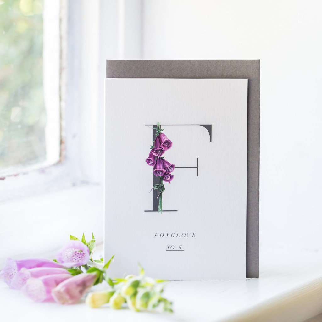 mcqueensflowers's tweet photo. New on #McQueensTheBlog we feature artist and illustrator, Gail Jones of Starkeys Lane — the creative hub of her beautiful botanical artwork, illustration and luxury stationery 🌿 https://t.co/DddJ0aBA4b @StarkeysLane https://t.co/52QTxBoCqM
