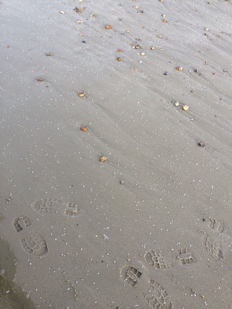 Dr Alice Hall tweet media