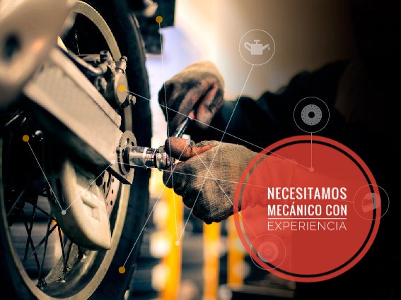 FastBikesBcn's tweet photo. Ampliamos el equipo de Fast Bikes! Si eres un mecánico con experiencia, envíanos tu CV y tus datos personales a cv@fastbikesbcn.es y nos pondremos en contacto contigo.
#mecánico #cv #TrabajoMecánico #FastBikes #TallerMotos #Motos https://t.co/9GBT7YEGXV
