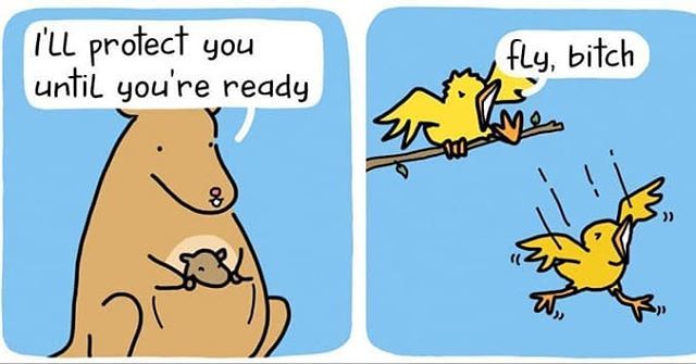 ReadersOfIIMR's tweet photo. Birds, and we must fly.
--
#RaWComics #IIMRohtak #Comics #puns #farewell #ClassOf2018 #IndiaStudents #Birds #Business #TragedyHaiComedy #Training #flyinghigh #Yet #Grounded #fly #Kangaroo https://t.co/ERRYEDXLsg
