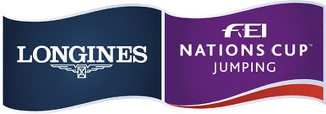 Irish rider Cameron Hanley is through to the jump off in the President Cup Grand Prix in Abu Dhabi this afternoon riding the grey gelding Quirex.