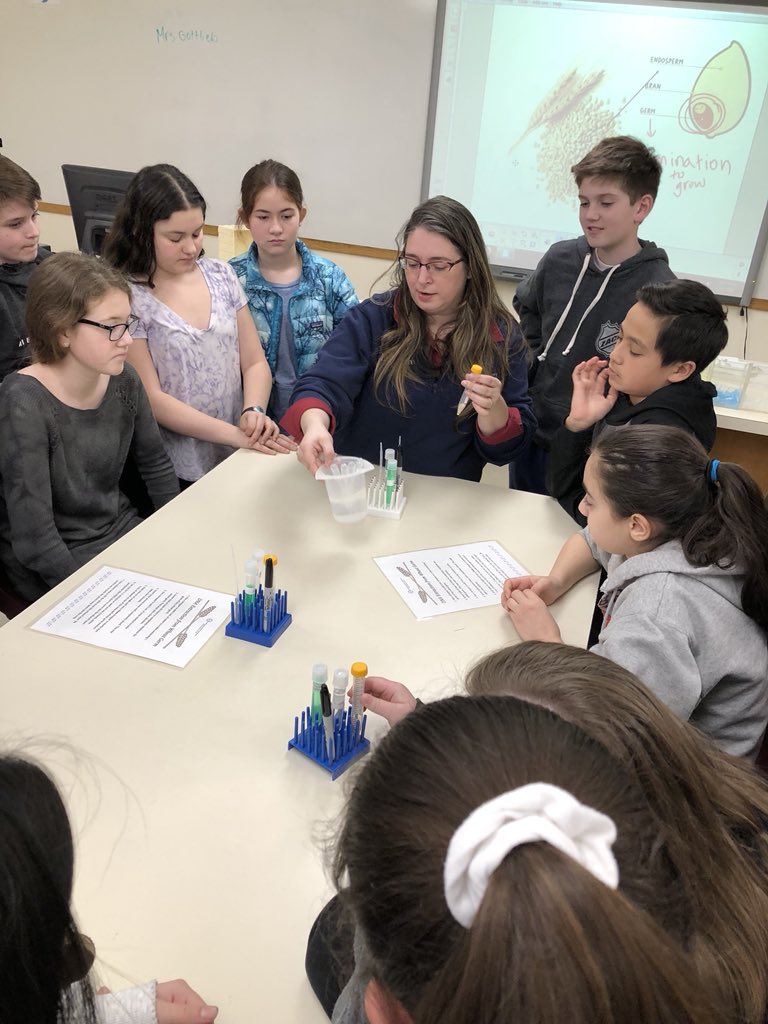SMSmrfisher's tweet photo. Butler 7 loves DNA!
#dolandna, scarsdalemspride https://t.co/sNvRU5oUtg