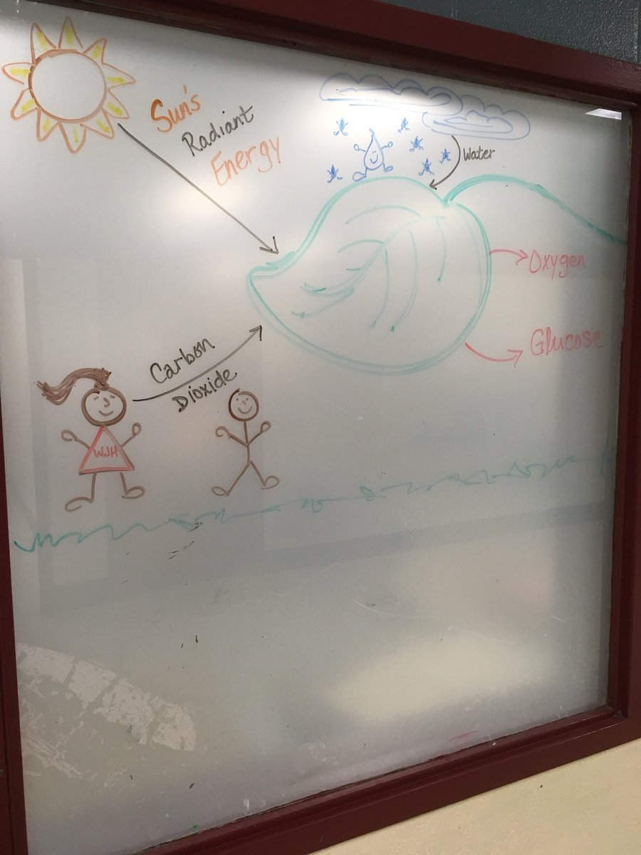 NancyPeschel's tweet photo. It’s that time again!  Making it happen!!! #ScienceTeacher #KeepingItReal https://t.co/OZ607Tcc4Y