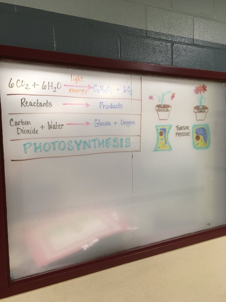 NancyPeschel's tweet photo. It’s that time again!  Making it happen!!! #ScienceTeacher #KeepingItReal https://t.co/OZ607Tcc4Y