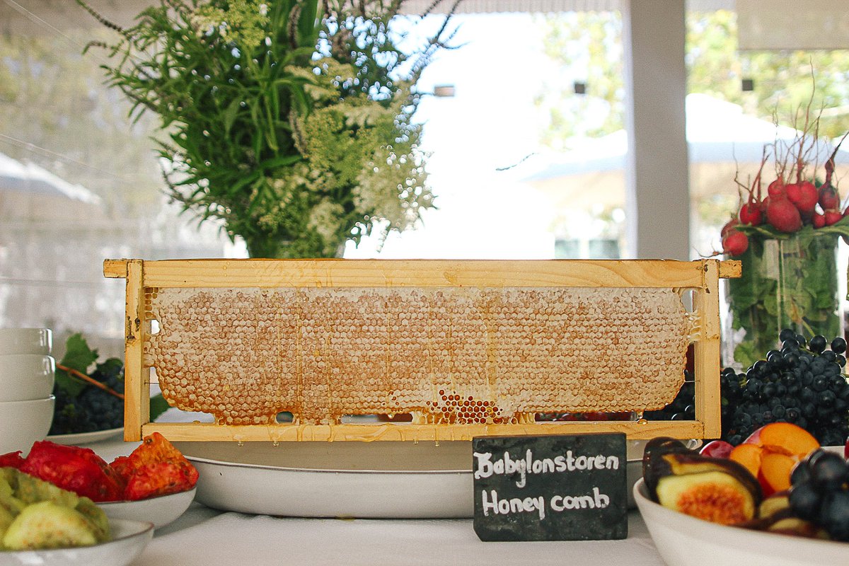 Freshly harvested #honeycomb served in Babel is a precious treat. To produce 1kg of wax #workerbees ingest about 8kg of #honey! The wax is secreted through small pores and collects in tiny flakes on the bees' abdomen. #honeybees #beereport