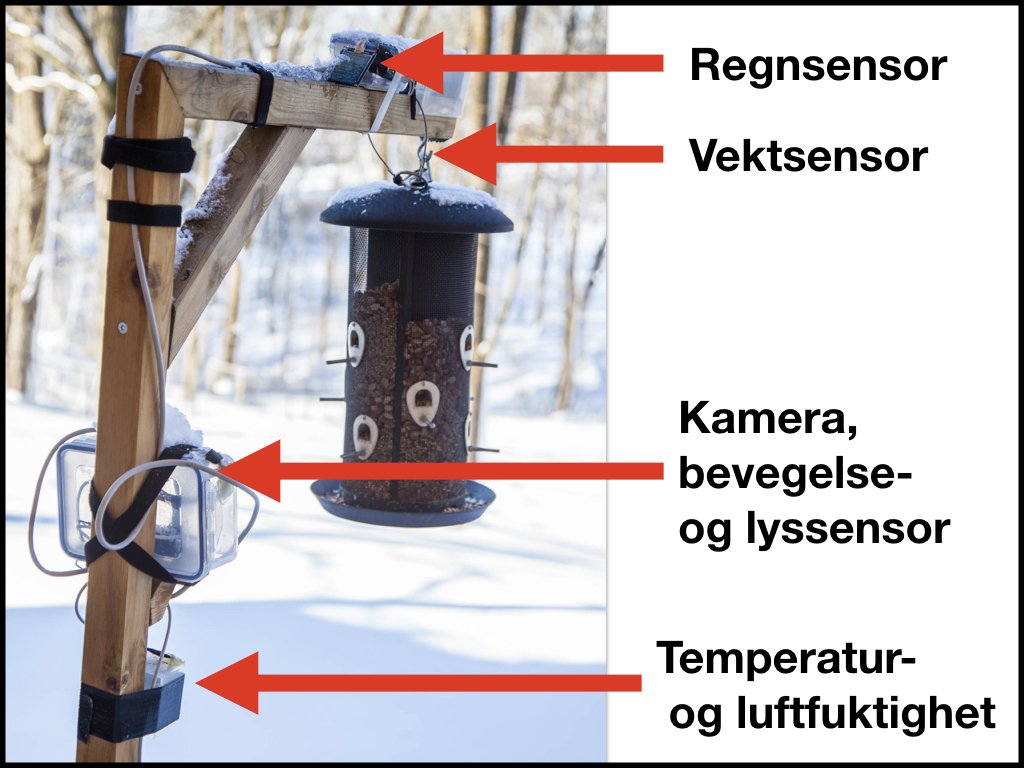 NRKbeta's tweet image. Sett din gamle mobiltelefon i arbeid! Vi endte med en del veldig fine bilder. Og en meganerdete fuglemater.  nrkbeta.no/2018/02/15/sli…