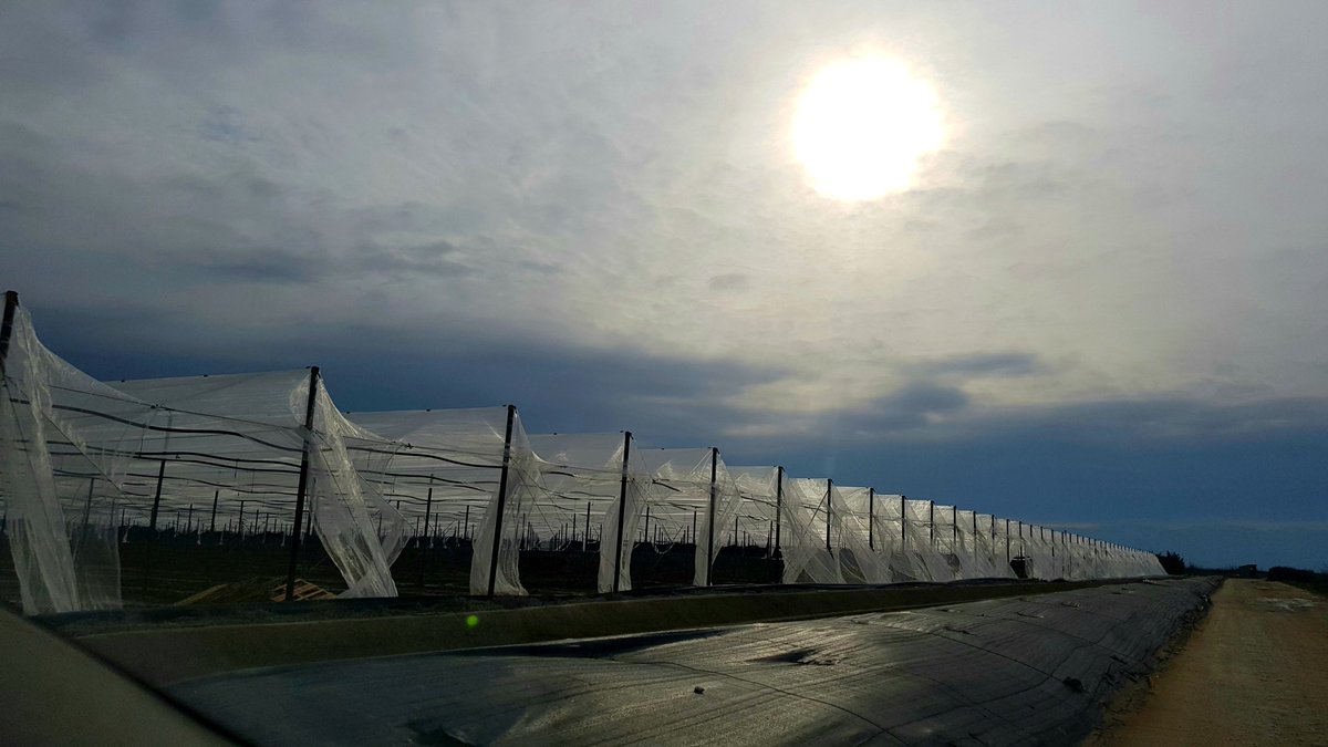 Spring is not far away.We are preparing the new products for the market.Stay tuned <a href="/A_Vezyroglou/">Antonis Vezyroglou</a> <a href="/D_Delidimoudis/">Dimitris Delidimoudis</a> <a href="/Iliana_Avramova/">Iliana Avramova</a> @ElsaTyrekidoy