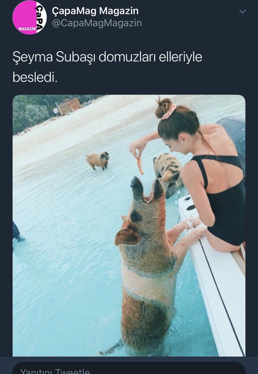 Acun’un parasını domuzlar bile yedi biz yiyemedik