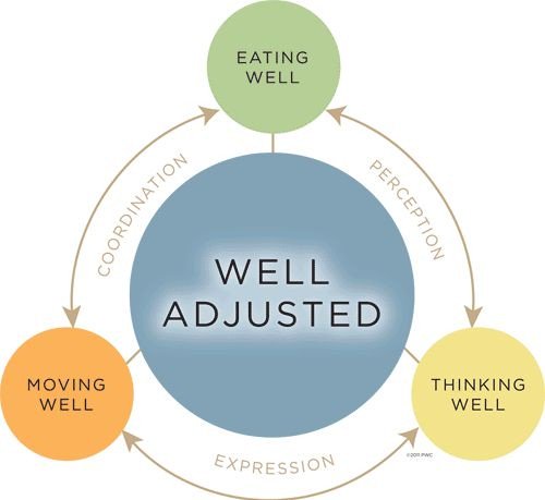 MosenthalChiro's tweet photo. RT @awaken_chiro : #chiropractic care is more than just physical wellness https://t.co/gNY0y24luH