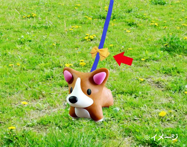 大切な家族を守るために！「黄色のリボン」がリードについた犬はそっとしておいて！