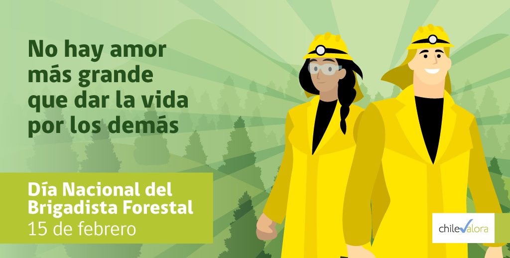 chilevalora's tweet photo. ChileValora reconoce a los brigadistas forestales que día a día protegen los recursos naturales de nuestro país. https://t.co/swgCQYNhSr