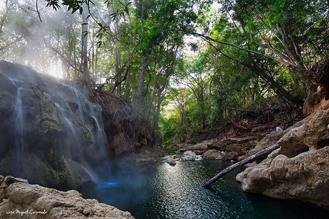 jmiguelcoronado's tweet photo. Pequeño arrollo de aguas termales en Finca Paraíso. Izabal #PostalesGT #Retoinstagrampl #QuePeladoGuate #prensa_libre #Guatemala #mundochapin #milugarfavoritopl #picoftheday #perhapsyouneedalittleguatemala #guatevision_tv #gtmagica #visitGuatemala #Quebo… https://t.co/R4TutyhBwV https://t.co/Tiwss9srmk
