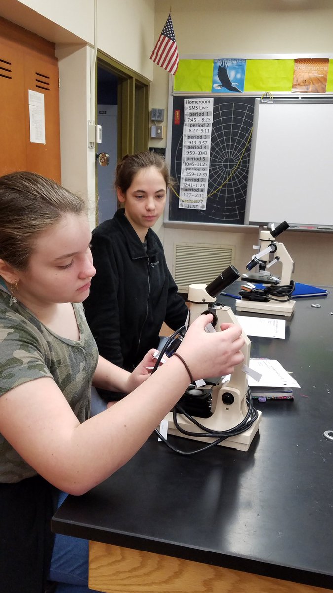Bioteacher1's tweet photo. Labeling the parts of the microscope! Starting cells! https://t.co/RKyqPqhEFr