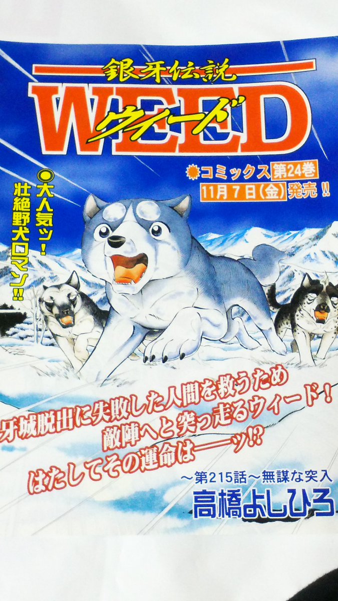 銀牙 銀牙伝説WEED❗2003年のゴラク、10月の表紙と巻頭カラーに