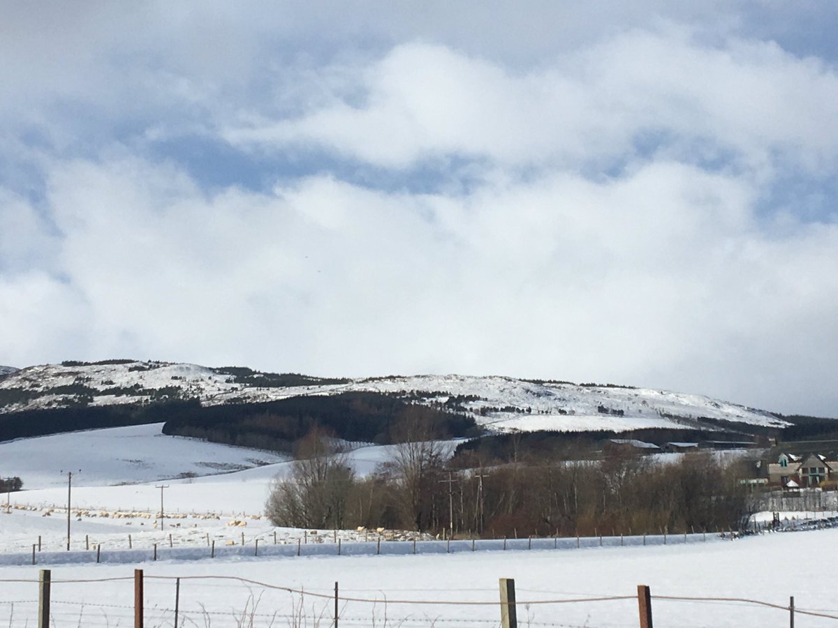 Dual calling with our DBG Trainer Rebecca today in the lovely snowy North of Scotland .