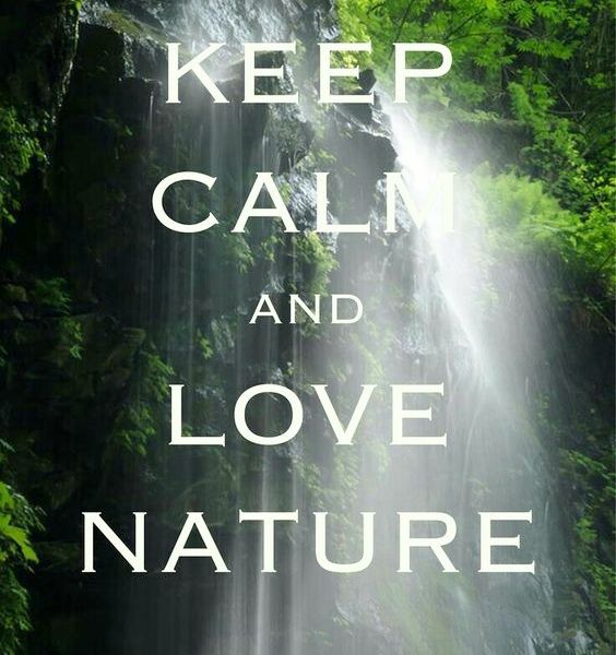 Keep &amp; Calm 🌴🦋YOU ARE IN COSTA RICA 🇨🇷
if noooooot CALL US !!!! +506 6066 6699 📞