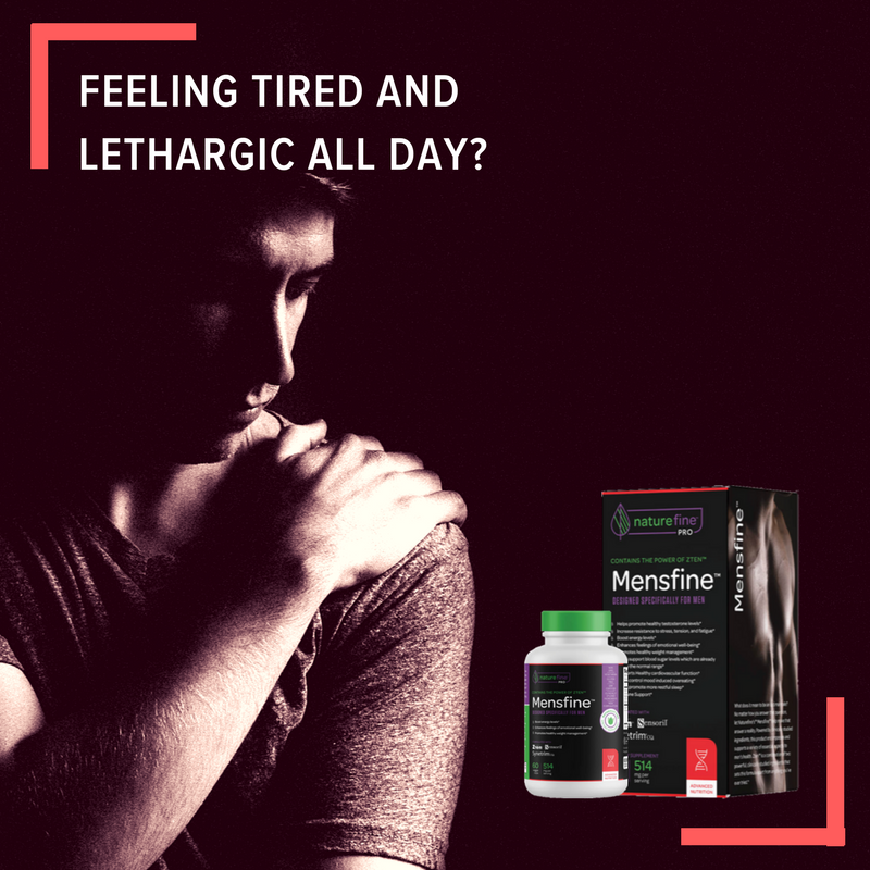 naturefineusa's tweet photo. Feeling tired and lethargic all day? Don't bother. It's all about improving your nutritional intake to be energetic all throughout the day. Boost your performance with #Mensfine - it increases resistance to stress, tension, &amp; fatigue. #DailyNutritionForMen #GMOfree https://t.co/p4rpMD47ba