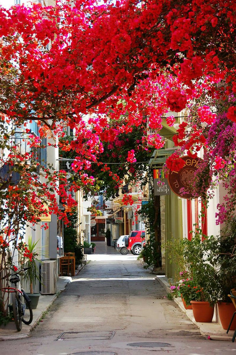Greekit2's tweet photo. Nafplio Greece #greece #Greek #summer #travel #photo #photography #nature #greekit https://t.co/4C1rhhqRjW