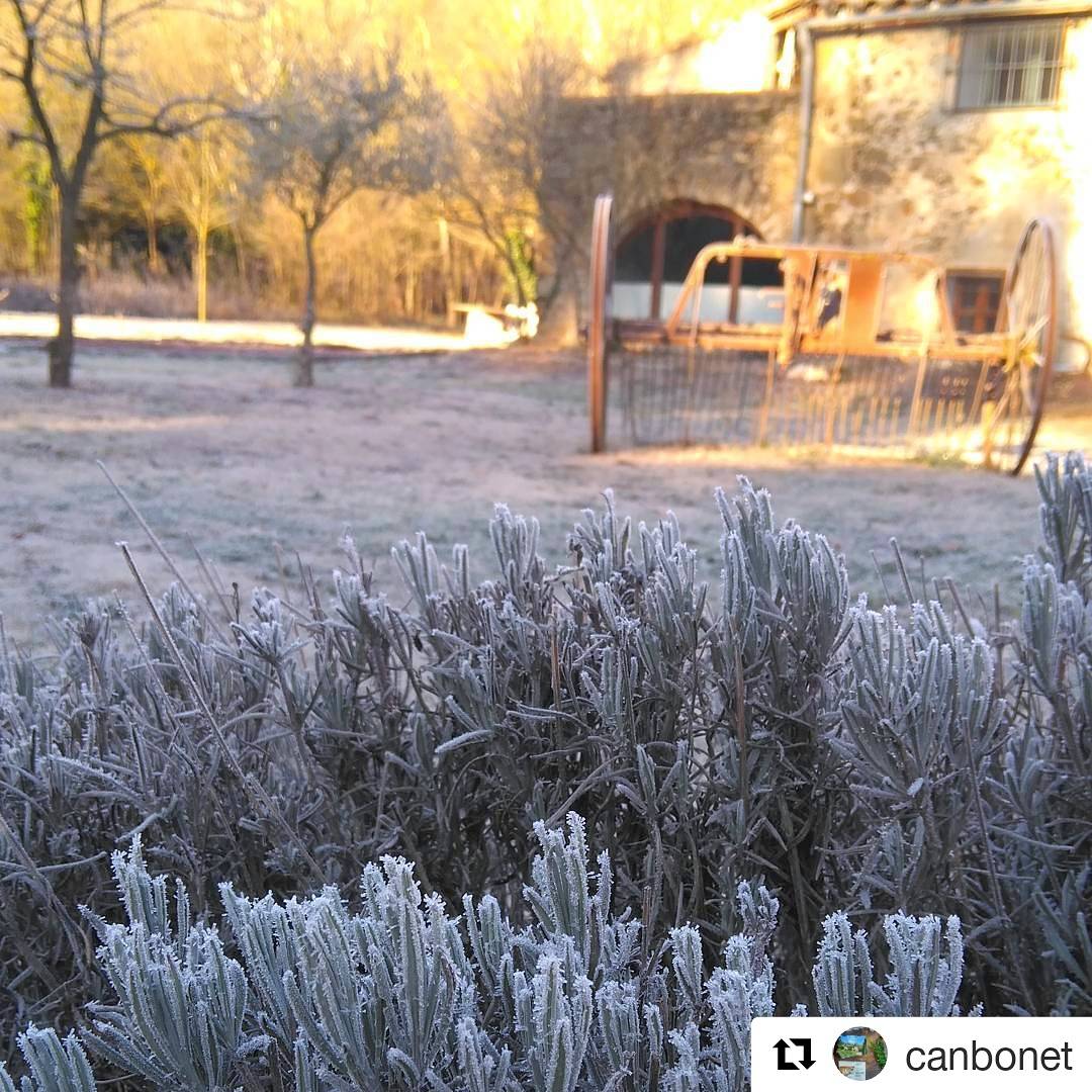 turismeruralgi's tweet image. Les temperatures baixes han fet que a diferents pobles quedés enfarinat de neu com a la casa @CanBonet deixant uns paisatges ben bonics! ❄

Al vostre poble ha nevat aquests dies?

#gironarural #raconetsbonicstrg #canbonet #santmartivell #elgirones