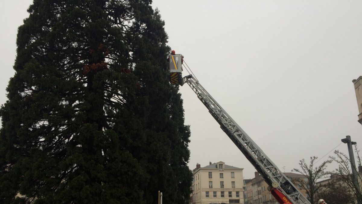 Infos Francaises On Twitter Insolite Pour Faire Chier Le Monde Un Homme Est Reste Perche Sur Un Arbre De 22h Hier Soir A 11h Ce Matin Devant La Mairie De Limoges