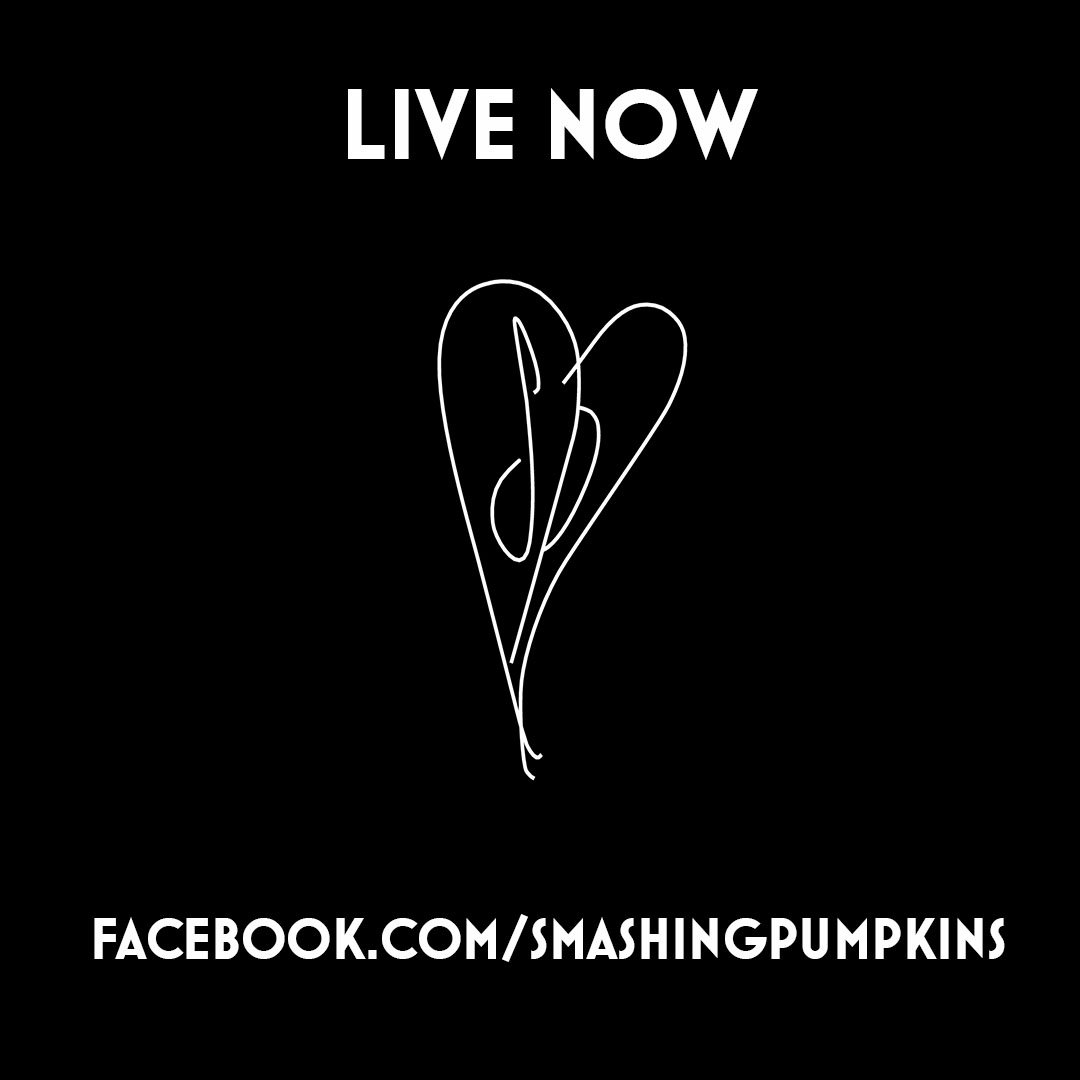 SmashingPumpkin's tweet photo. LIVE NOW - Shiny And Oh So Bright #SP2018 – https://t.co/cqLSgZ76x8 https://t.co/wHQgb4Ugn0