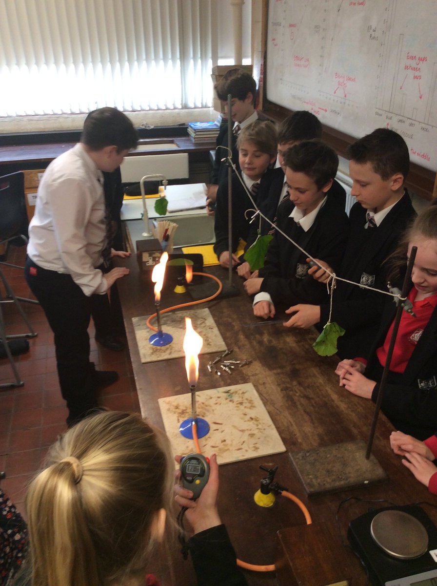 ScienceCHS's tweet photo. 7J putting their plans in to action to answer the question 'Which weather conditions make leaves lose water fastest?' Was it Hot? Windy? Hot and Windy? Fab work from these scientists today. @officialCHS https://t.co/WosHzI94j3