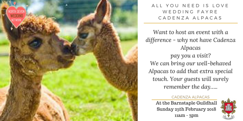 NDWedNetwork's tweet photo. Want a wedding with a difference!! Cadenza Alpacas will be here!! #gettingmarried #engaged @BarumTC Barnstaple Guildhall's "All You Need Is Love" #WEDDINGFAYRE! Sunday 25th February 11am-3pm See amazing local suppliers from @NDWedNetwork More> https://t.co/rGNN7VxT7S #NDWN https://t.co/IQoRW20b6i